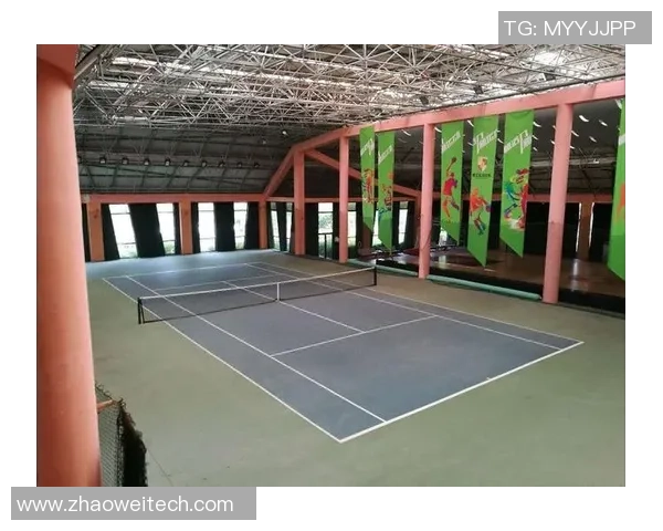 南京网球队的比赛经验揭秘：从训练到赛场的全方位解析与分享