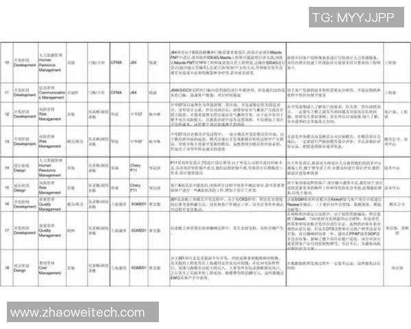成都足球队运营分析：成功经验与教训的深度剖析与反思